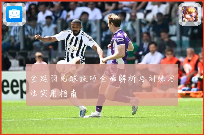 金廷羽毛球技巧全面解析与训练方法实用指南
