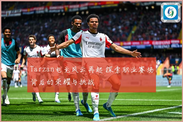 Tarzan电竞风云再起 探索职业赛场背后的荣耀与挑战