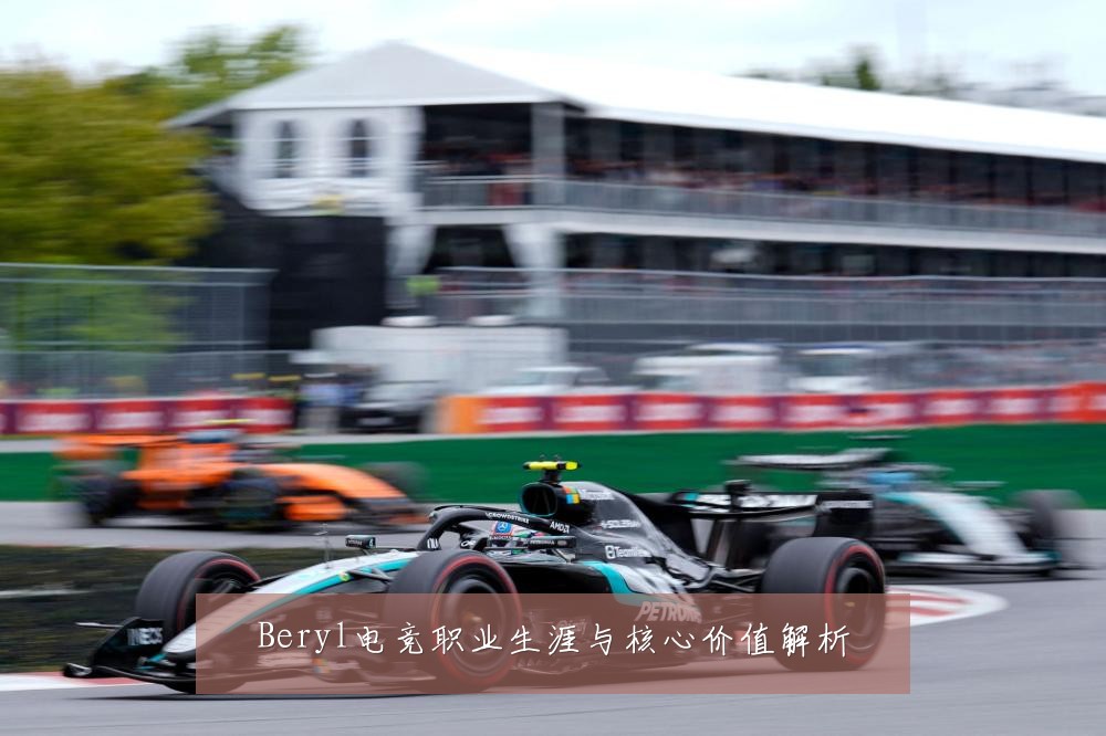 Beryl电竞职业生涯与核心价值解析